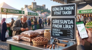 Giresun Serbest Piyasasında Güncel Fındık Fiyatları Ne Kadar Oldu?
