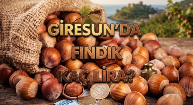 Giresun Serbest Piyasasında Güncel Fındık Fiyatları Ne Kadar Oldu?