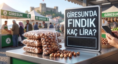 Giresun Serbest Piyasasında Güncel Fındık Fiyatları Ne Kadar Oldu?