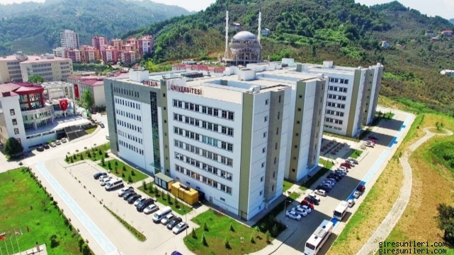 Giresun Üniversitesi URAP Dünya Alan Sıralamasında Yükseldi
