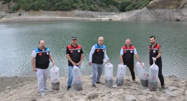 Gümüşhacıköy'de İmirler Barajı'na 50 bin sazan yavrusu bırakıldı