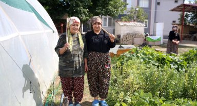 Gündelik işlere giderek 120 kediye bakmaya çalışıyor