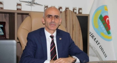 Karan’dan fındık rekoltesi çağrısı: “Çuvala girmiyorsa rakamlar revize edilmeli”