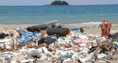 ORDU ÇÖPTEN KAZANIYOR, GİRESUN ZEHİRLENİYOR!