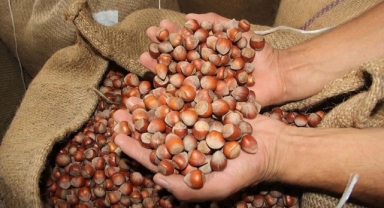 Ordu Ticaret Borsası’ndan fındıkta fiyat açıklaması