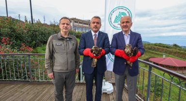 Rize'de tedavileri tamamlanan 2 arı şahini doğaya salındı