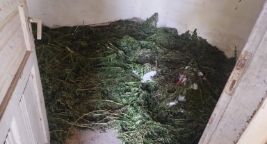 Samsun'da düzenlenen operasyonda 63 kilogram kubar esrar ele geçirildi