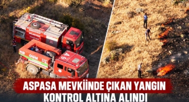 Şebinkarahisar’da Ot Yangını Büyümeden Söndürüldü