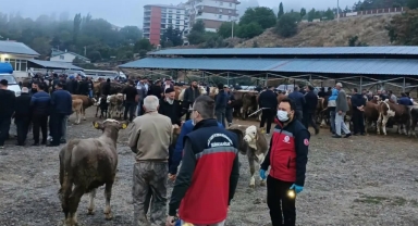 Şebinkarahisar Hayvan Pazarı’nda Kontroller Sıklaştırıldı
