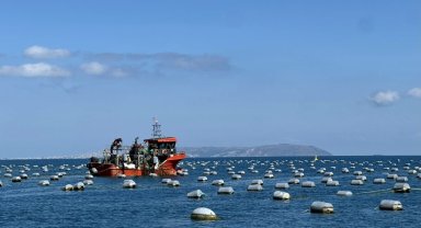 Sinop'ta 9 ayda 182 ton midye üretildi