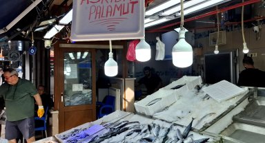 Sinop'ta "askıda palamut" uygulaması başlatıldı 