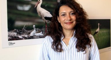 Sinop'ta bu yıl yumurtadan çıkan 73 leylek göç yolculuğuna başladı