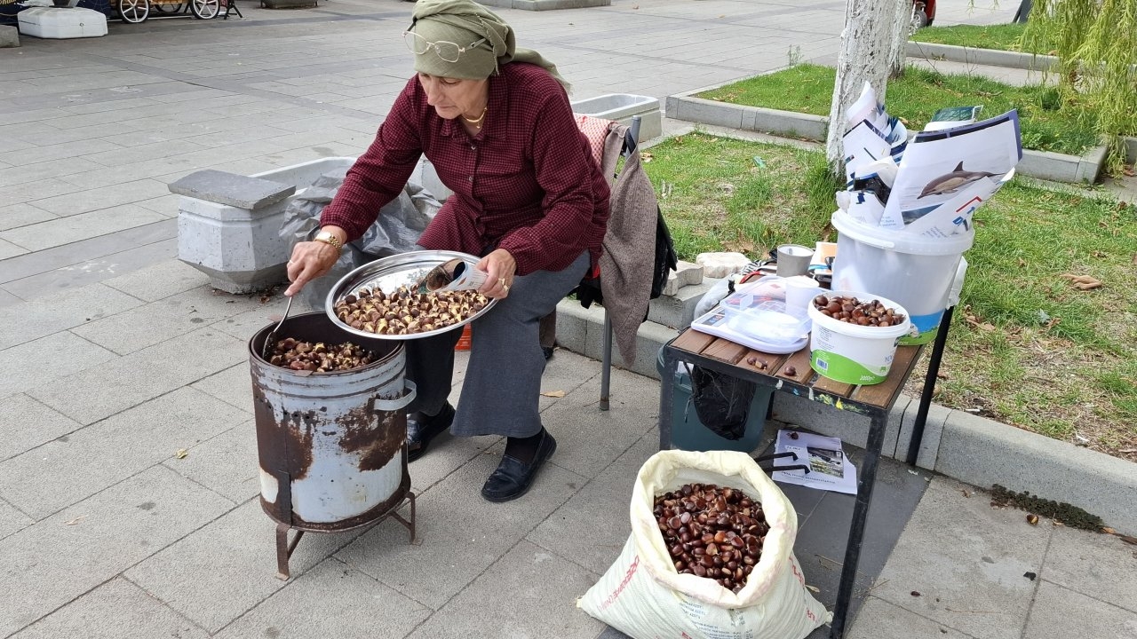 Sinop'ta olumlu geçen mevsim şartlarının kestane rekoltesini artırması bekleniyor