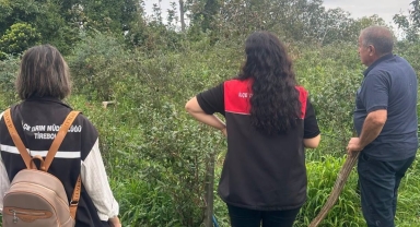 Tirebolu’da Sertifikalı Fidanlarla Maviyemiş Hasadı