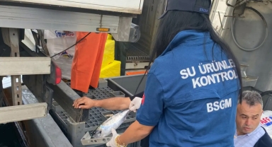 Tirebolu ve Görele’de Balıkçılara Yönelik Denetimler Sıklaştırıldı