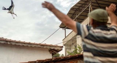 Yaren leyleğin vedası yürek burktu