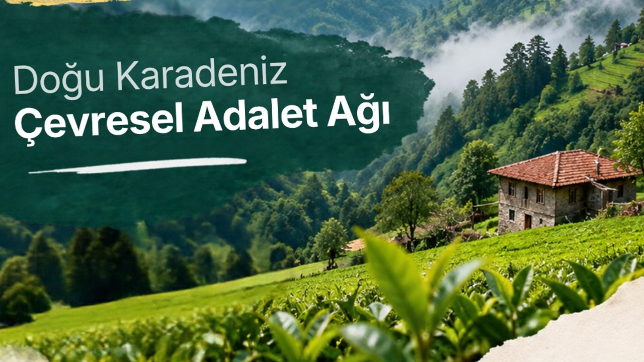 Çevre Projesine Uluslararası Destek: Giresun’da 6 Kırsal Toplulukta Çevre Çalışması Yapılacak!