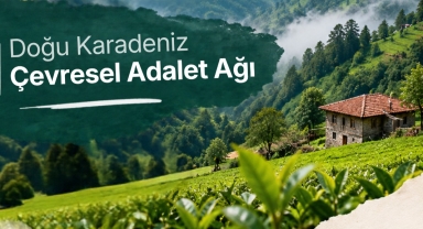 Çevre Projesine Uluslararası Destek: Giresun’da 6 Kırsal Toplulukta Çevre Çalışması Yapılacak!