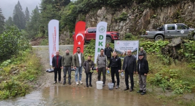 Doğankent’te Derelere Yavru Alabalık Bırakıldı
