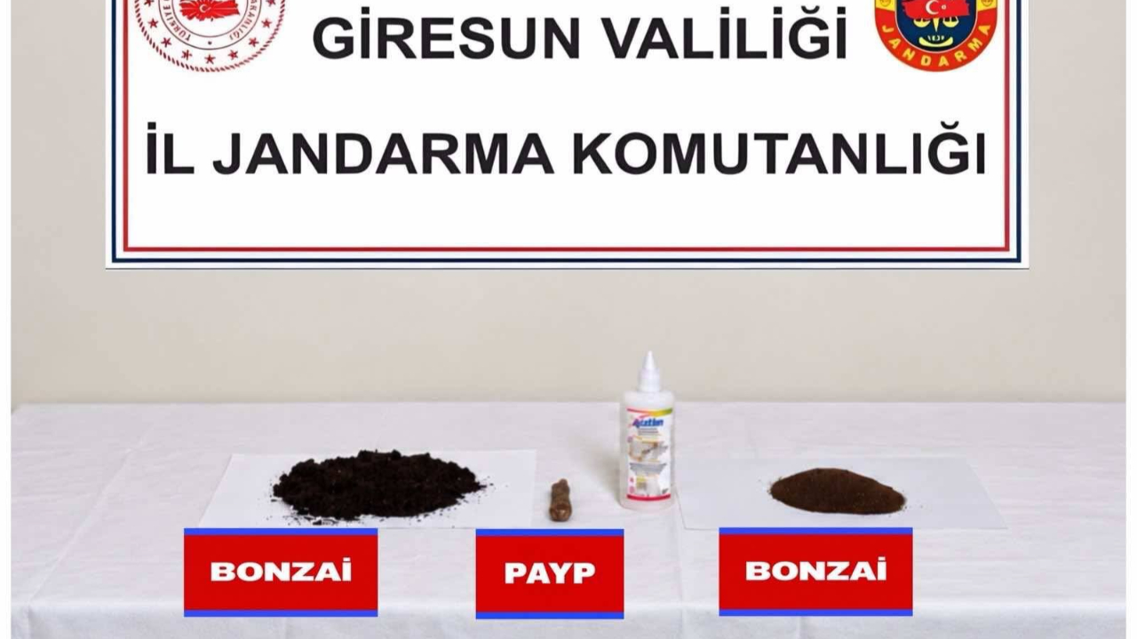 Giresun’da 6 Şüphelinin Adreslerine Uyuşturucu Operasyonu!