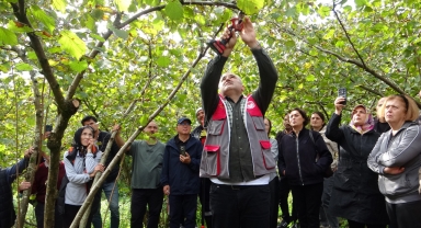 Giresun’da Fındık Bahçelerinde Verimi Artıracak Eğitim