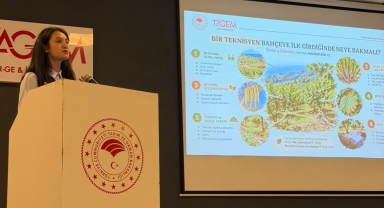 Giresun'da fındık bakım teknisyeni eğitimleri başladı