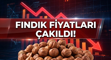 Giresun'da Fındık Fiyatları Çakıldı!