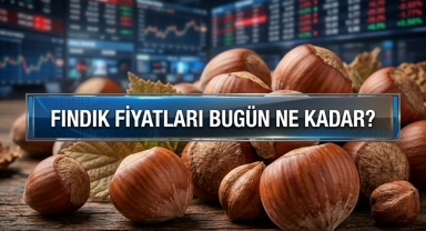 Giresun'da fındık fiyatları haftaya nasıl başladı? Fındık fiyatları ne kadar?