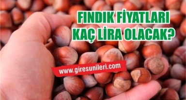 Giresun'da fındık fiyatları haftaya nasıl başladı? Fındık fiyatları ne kadar?