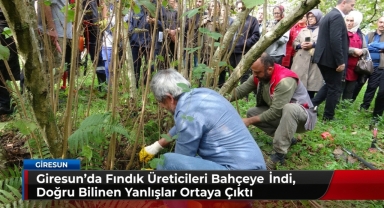 Giresun’da Fındık Üreticileri Bahçeye İndi, Doğru Bilinen Yanlışlar Ortaya Çıktı