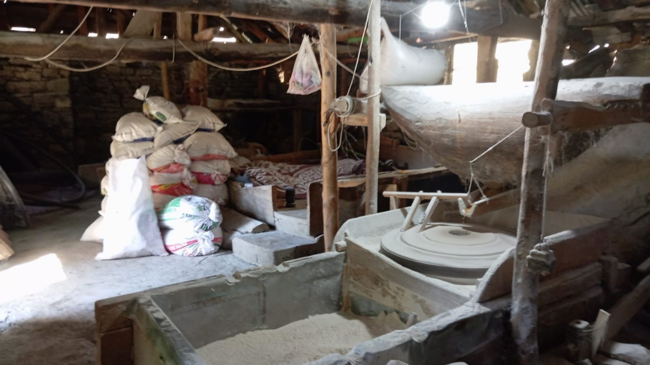Giresun’da Kendi İhtiyacı İçin Ekti, Doğal Unun Adresi Oldu