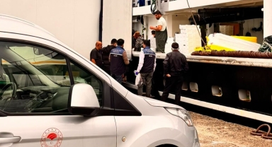 Giresun’da Palamut Bereketi Yüz Güldürüyor