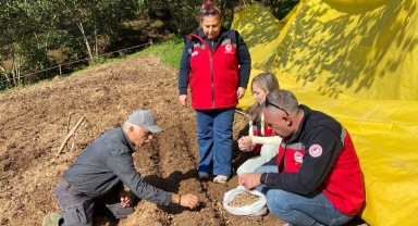 Giresun’da Salep Ekimi Kontrolleri Sürüyor