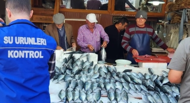 Giresun’da Su Ürünleri Ekipleri Sahada
