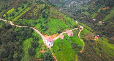 Giresun İl Özel İdaresinden Egeköy’de Ulaşım Konforunu Artıracak Çalışma