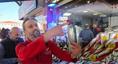 Karadeniz'de palamut alarmı! 