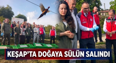 Keşap’ın İki Köyünde Doğaya Sülün Salındı