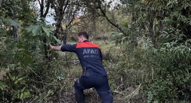 Mantar toplamak için gittiği ormanda kaybolan kadın için arama çalışması başlatıldı 
