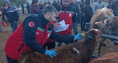 Şebinkarahisar’da Hayvan Pazarında Sıkı Denetim