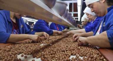 Türkiye'nin 9 aylık fındık ihracatı 1,9 milyar doları aştı