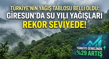 Türkiye'nin Yağış Tablosu Belli Oldu: Giresun’da Su Yılı Yağışları Rekor Seviyede!