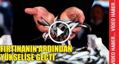 Fırtınanın Ardından Yükselişe Geçti