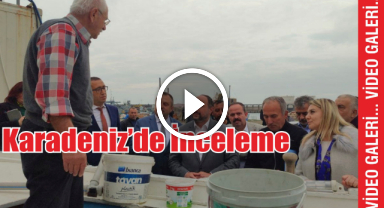 Karadeniz'de İnceleme