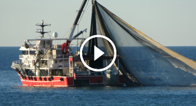 Bolluk günleri geçti yokluk günleri başladı    
