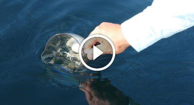 Bütün umutları denizden çıkacak petrolde