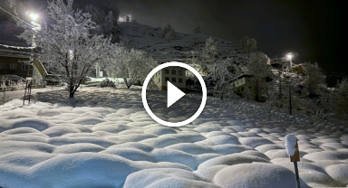 Çay bahçeleri beyaz örtüyle kaplandı 