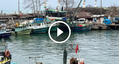 Denizlerin Soğumasını Bekliyorlar