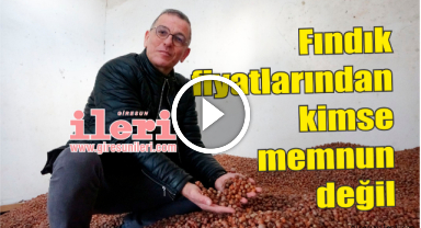 Fındık fiyatlarındaki dalgalanmadan kimse memnun değil   