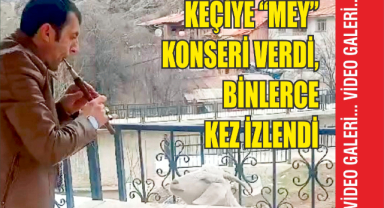 Keçiye "mey" konseri verdi, binlerce kez izlendi   