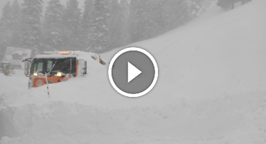 Artvin-Ardahan karayolunda 2 iş makinesi üzerine çığ düştü